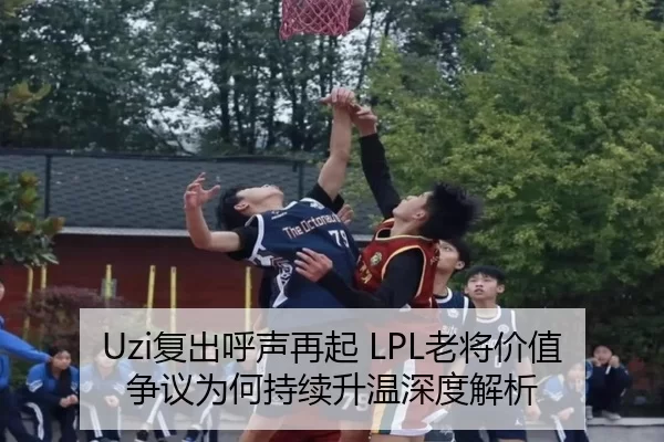 fu-chu-hu-sheng-zai-qi-lao-jiang-jia-zhi-zheng-yi-wei-he-chi-xu-sheng-wen-shen-du-jie-xi-2-525.jpg